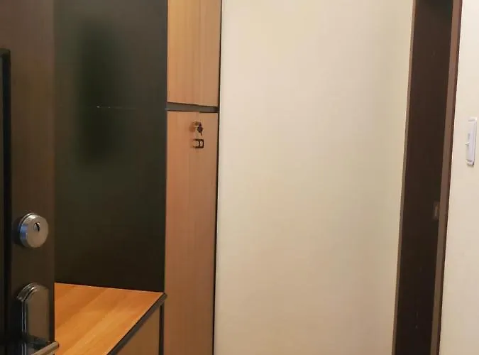 уютно и просторно студио *