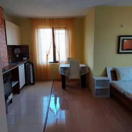 уютно и просторно студио Apartment *