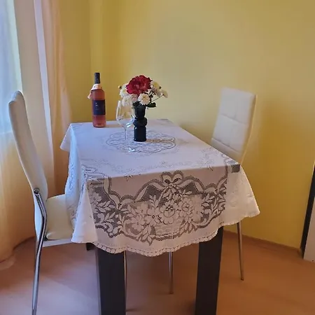 уютно и просторно студио * 拉夫达