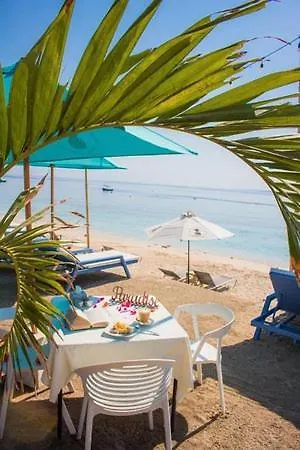 уютно и просторно студио * Rawda