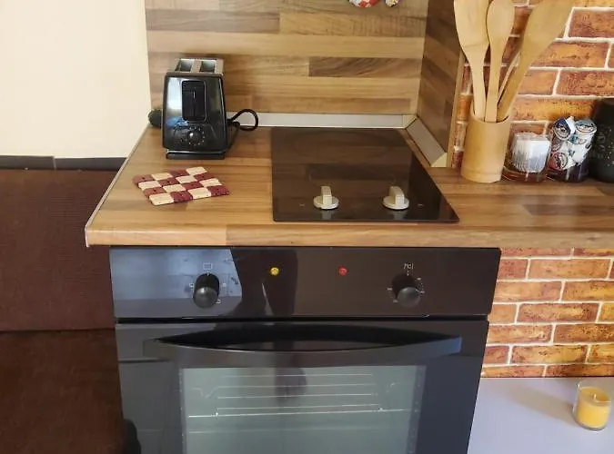 уютно и просторно студио Apartment